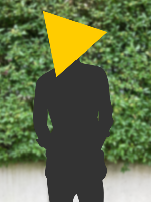 Grid image