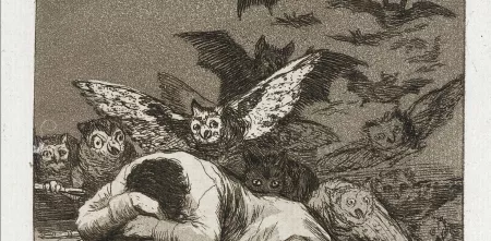 Kunstwerk mit dem Titel: „El sueño de la razon produce monstruos“