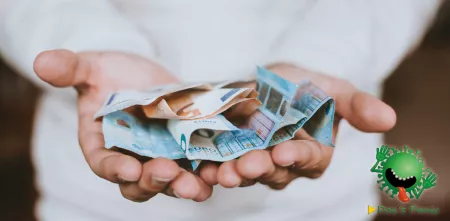 Detailaufnahme diverser Euro-Scheine in der Hand einer Person.