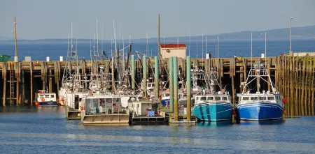 Ein Hafen mit vielen Schiffen.
