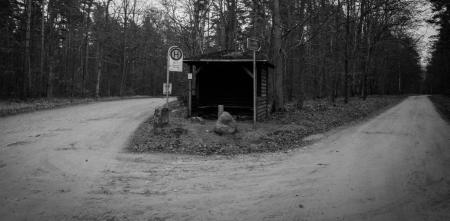 Schwarz-Weiß-Aufnahme einer einsamen Bushaltestelle im Wald