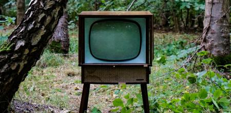 Ein alter Fernseher im Wald