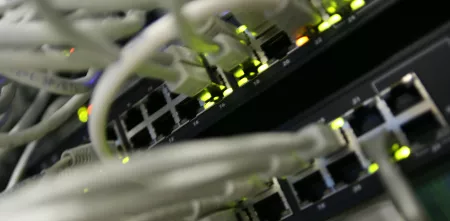 Viele Ethernet-Kabel münden in diversen Buchsen.
