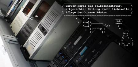 Eine „Serverherde“ aus artgerechter Haltung.