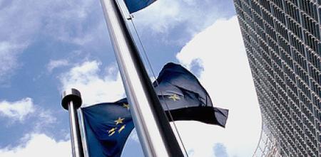 Mehrere EU-Flaggen gehisst.