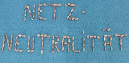 Das Wort „Netzneutralität“ aus Eicheln gelegt (auf blauem Grund).