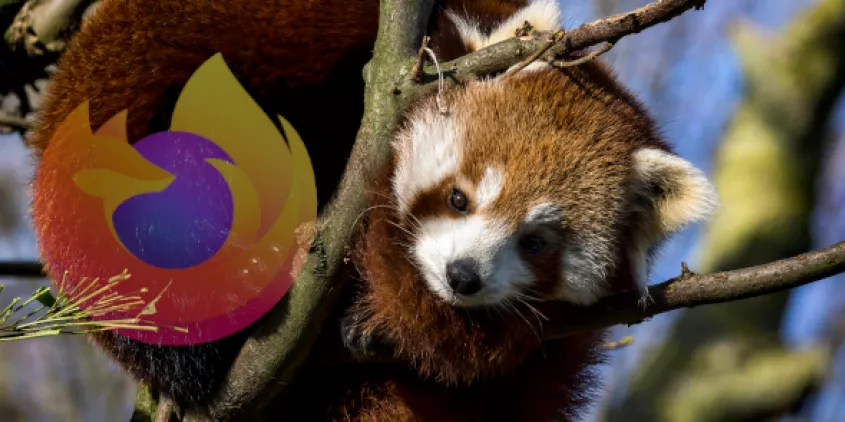 Firefox-Logo und Feuerfuchs