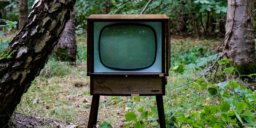 Ein alter Fernseher im Wald