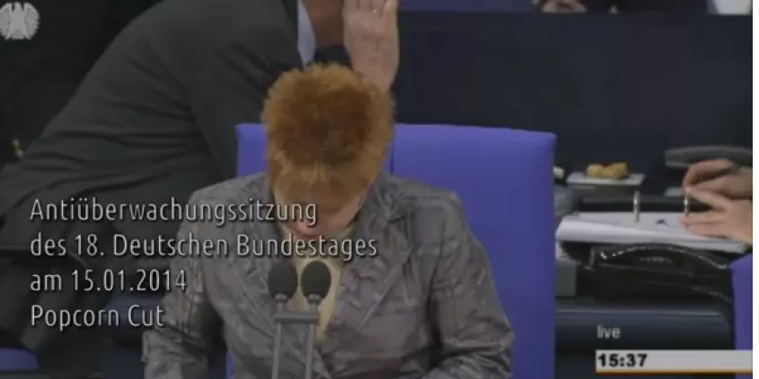 Screenshot der „Antiüberwachungssitzung“ (2014).