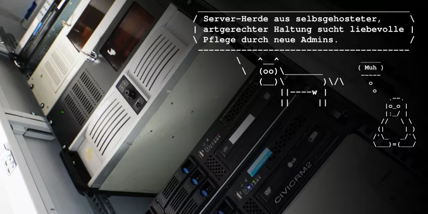 Eine „Serverherde“ aus artgerechter Haltung.