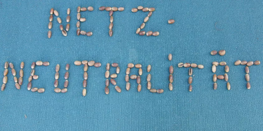 Das Wort „Netzneutralität“ aus Eicheln gelegt (auf blauem Grund).
