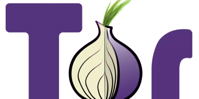 Tor Onion Logo