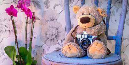 Ein Teddybär mit einer kleinen Fotokamera auf einem blauen Holzstuhl sitzend; links neben dem Teddybären steht eine pinke Orchidee