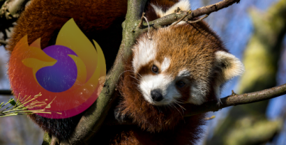 Firefox-Logo und Feuerfuchs
