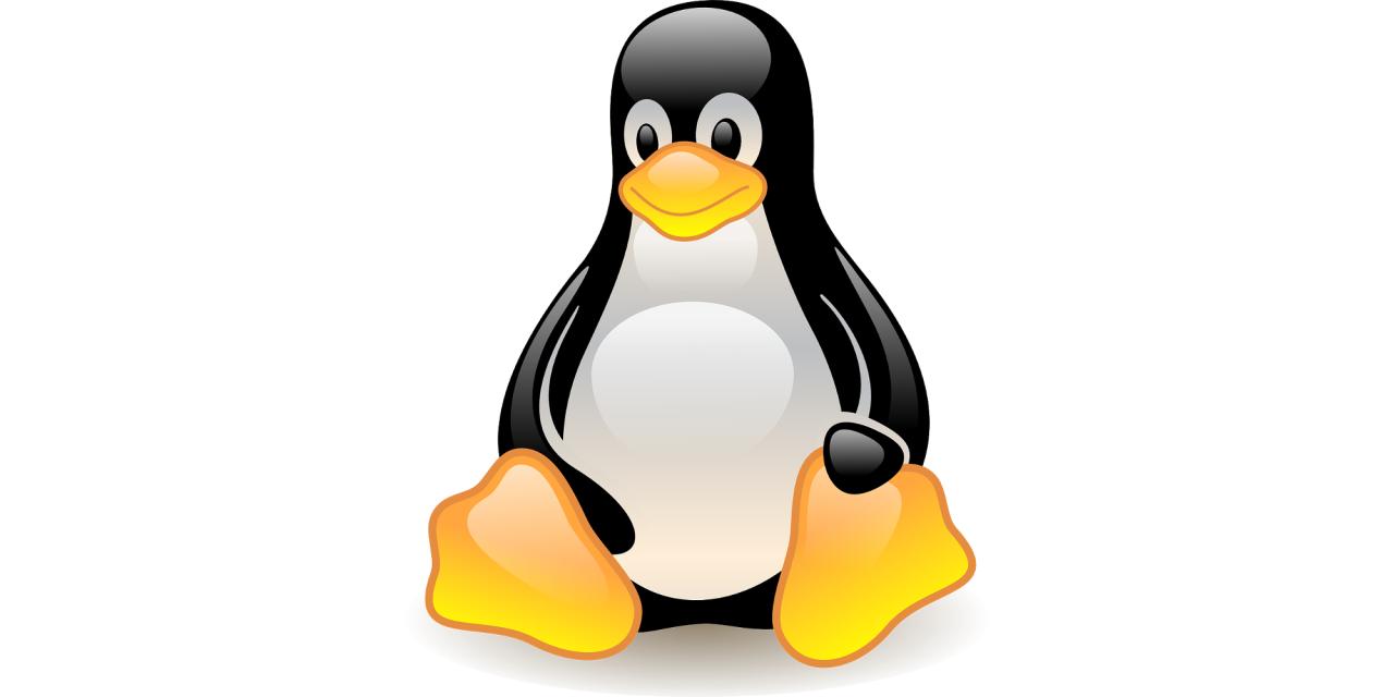 Das Linux-Maskottchen Tux (Pinguin).