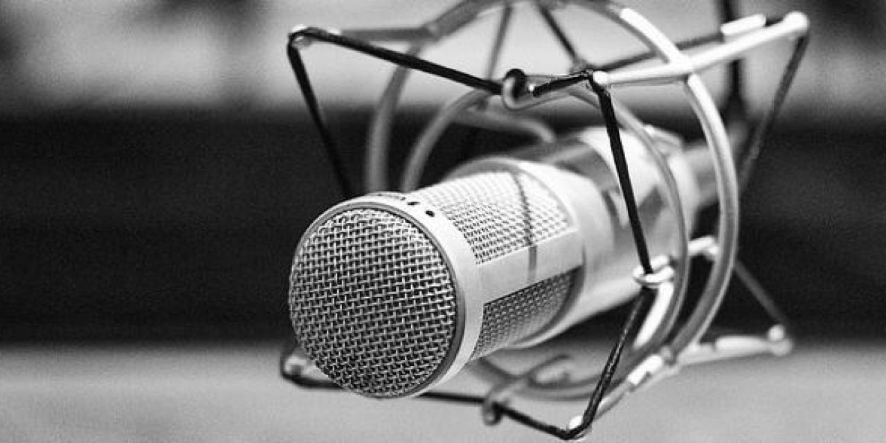 Ein schwarz-weiß Bild eines Mikrofons (seitliche Ansicht).