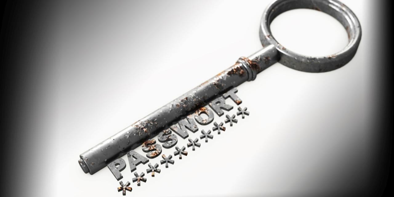 Silberner Schlüssel mit dem Wort Passwort statt Schlüsselbart