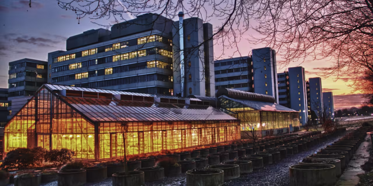 Foto der Universität Bielefeld am Abend