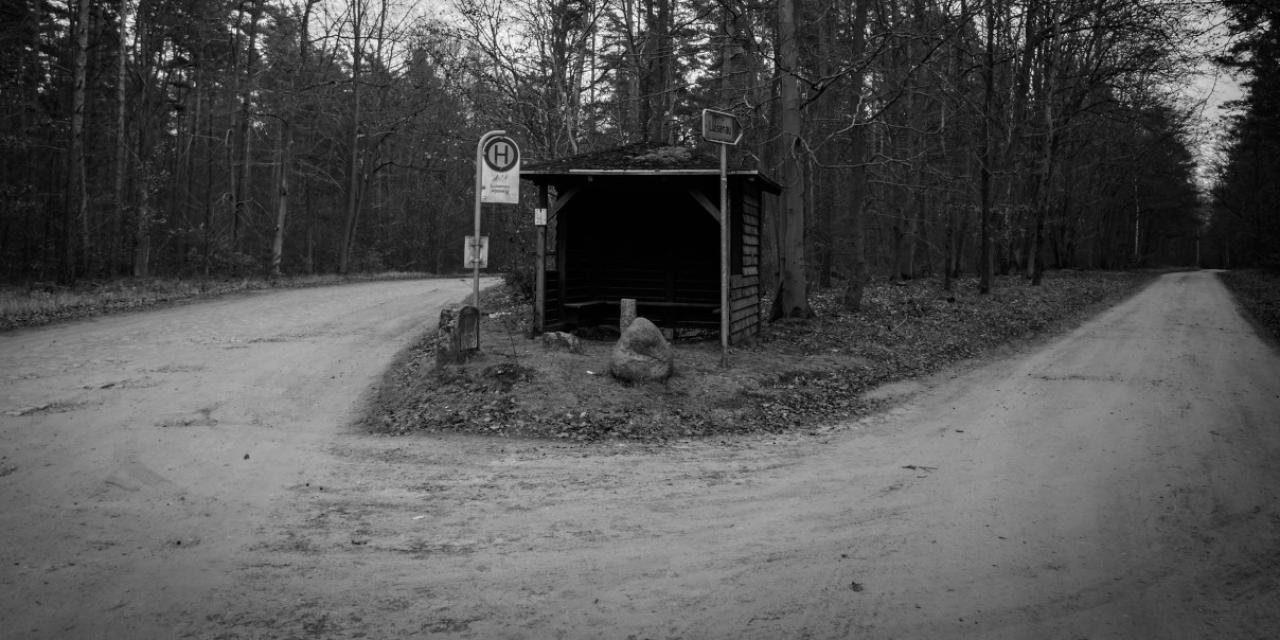 Schwarz-Weiß-Aufnahme einer einsamen Bushaltestelle im Wald