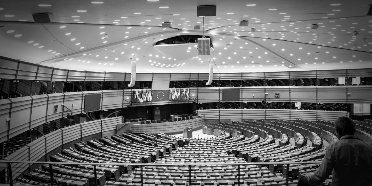 Plenarsaal des Europäischen Parlaments in schwarz-weiß.