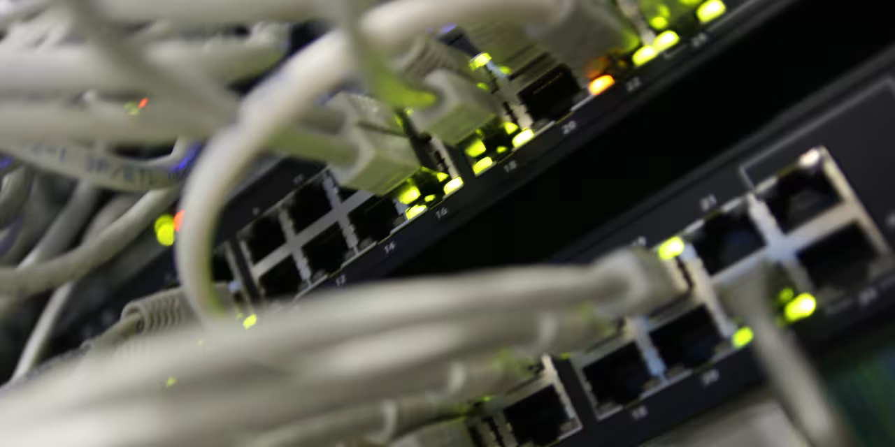 Viele Ethernet-Kabel münden in diversen Buchsen.