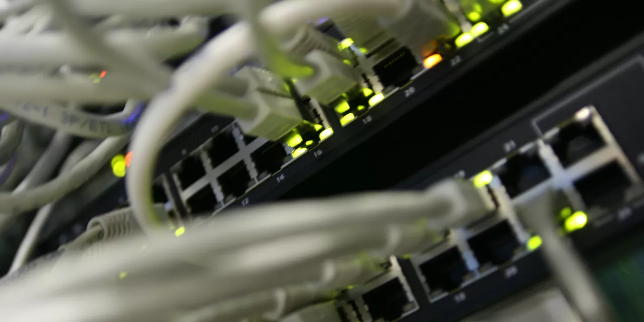 Viele Ethernet-Kabel münden in diversen Buchsen.