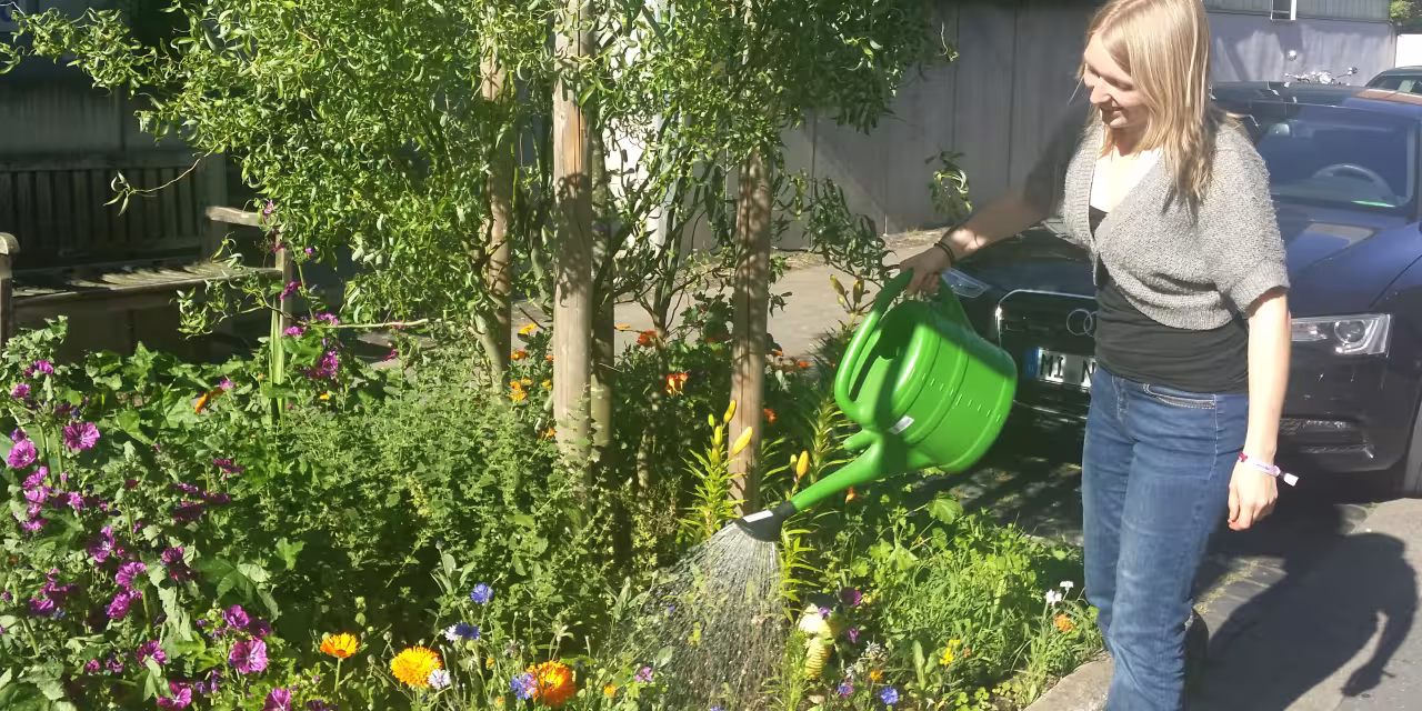 Praktikantin gießt die Blumen auf dem Straßenbeet gegenüber unseres Büros.