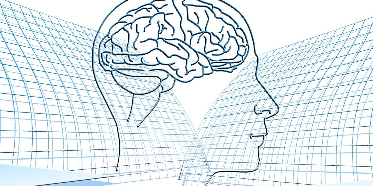 Grafik eines Kopfes inkl. Gehirn (Strichzeichnung).