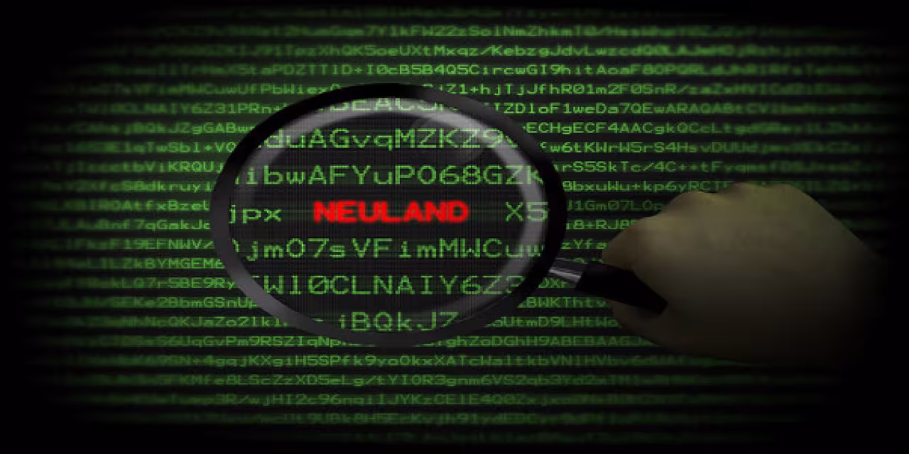 Grafik: Eine Lupe, die über verschlüsselten Text gehalten wird. Das Wort „Neuland“ erscheint.