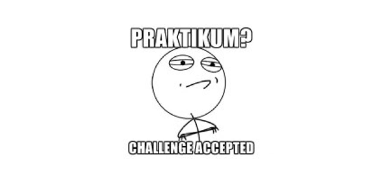 Meme: „Praktikum? Challenge accepted“