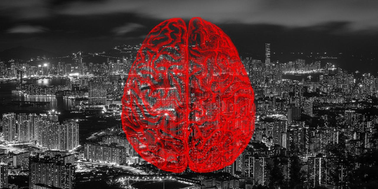 Collage: Im Hintergrund eine Großstadt bei Nacht (schwarz-weiß). Darüber eine Grafik eines Gehirns im Querschnitt (rot).