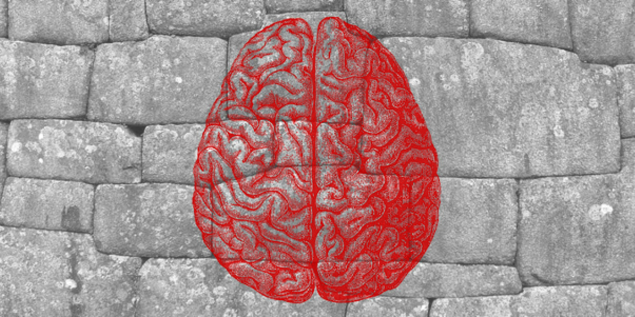 Collage: Foto einer Mauer. Darüber eine Grafik eines Gehirns im Querschnitt (rot).