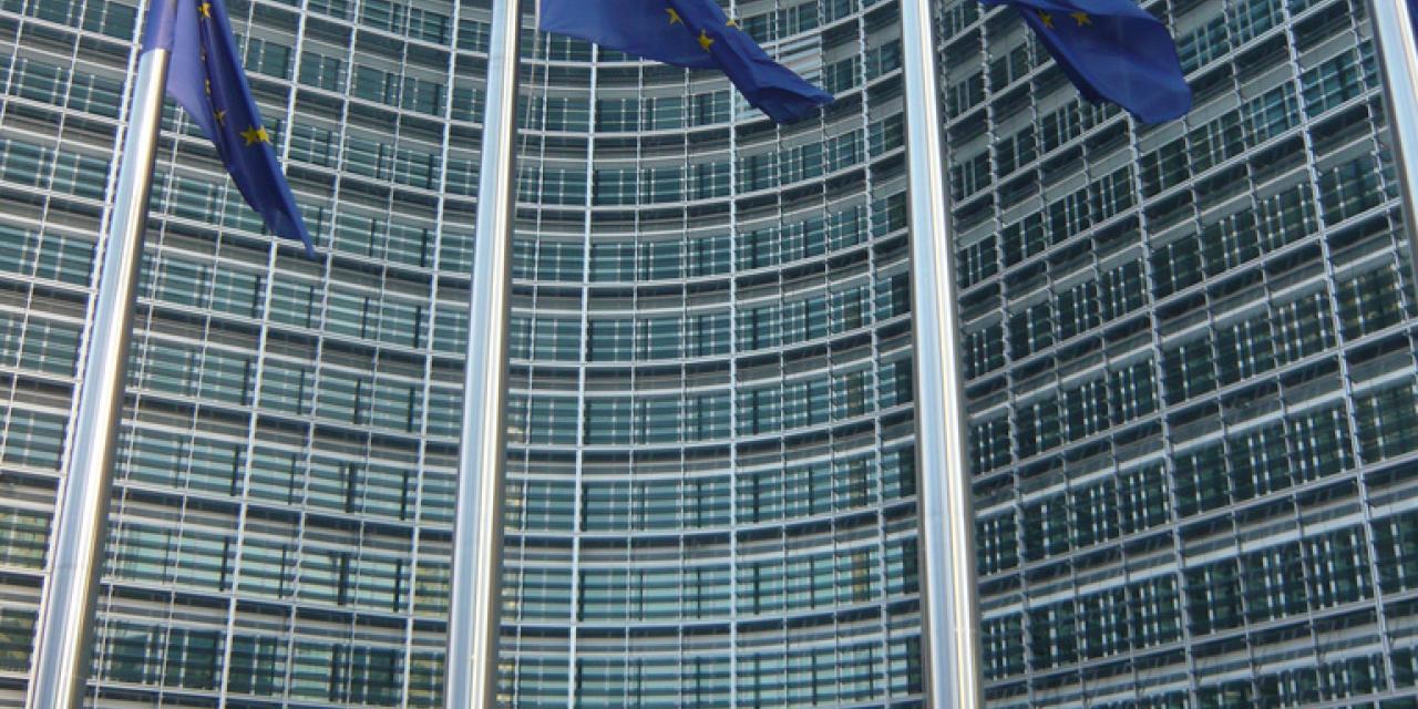 Mehrere EU-Flaggen gehisst.