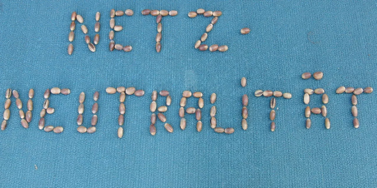 Das Wort „Netzneutralität“ aus Eicheln gelegt (auf blauem Grund).