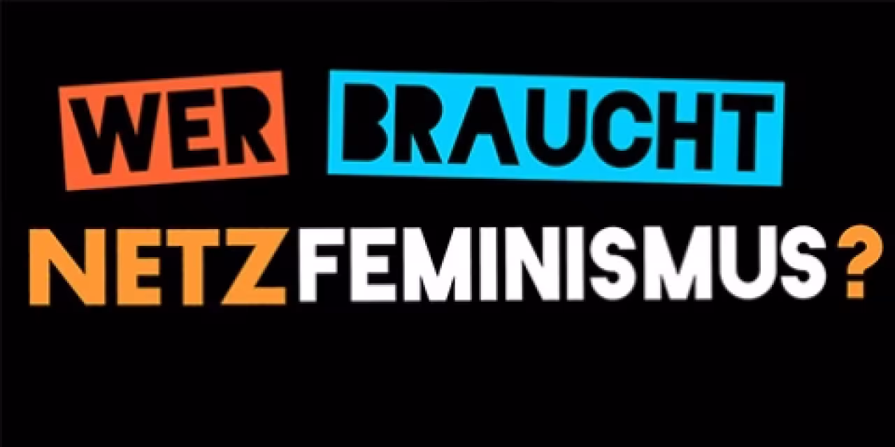 Grafik: „Wer braucht Netzfeminismus?“